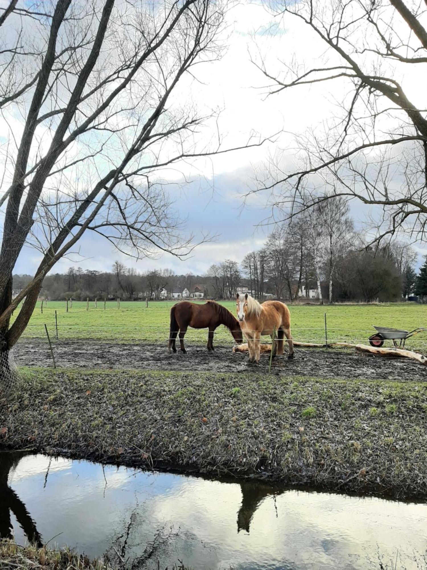 Annemarie - Schwedenhaus Mit Kuenstler-charme Und Sauna Zerpenschleuse